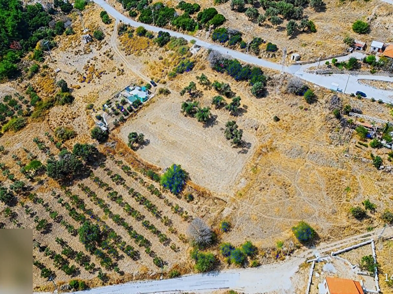 Foça kocamehmetlerde anayola cepheli satılık tarla, zeytinlik