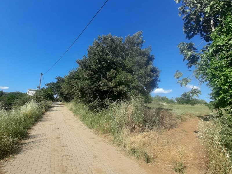 Orhangazi/gedelekte 1400 mt² tarla