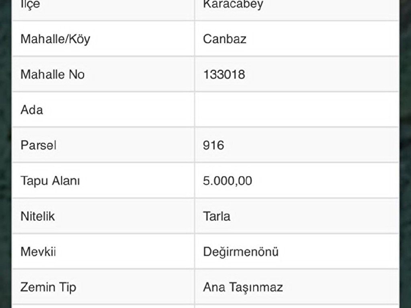Bursa karacabey canbaz da satilik tarla