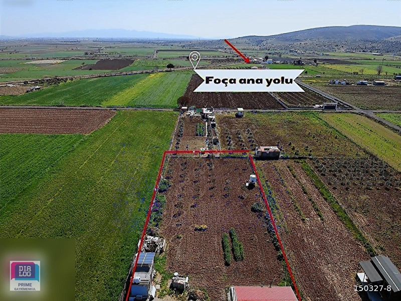 İzmi̇r ali̇ağa helvacida muhteşem bağ evli̇ tarla