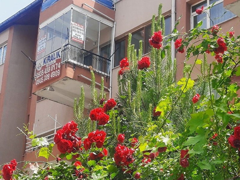Çukurambar sınırında 1 numara arakat kiralıktır