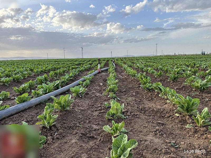 Konya yağlibayat'da sulak 500.000 m² satilik tarla