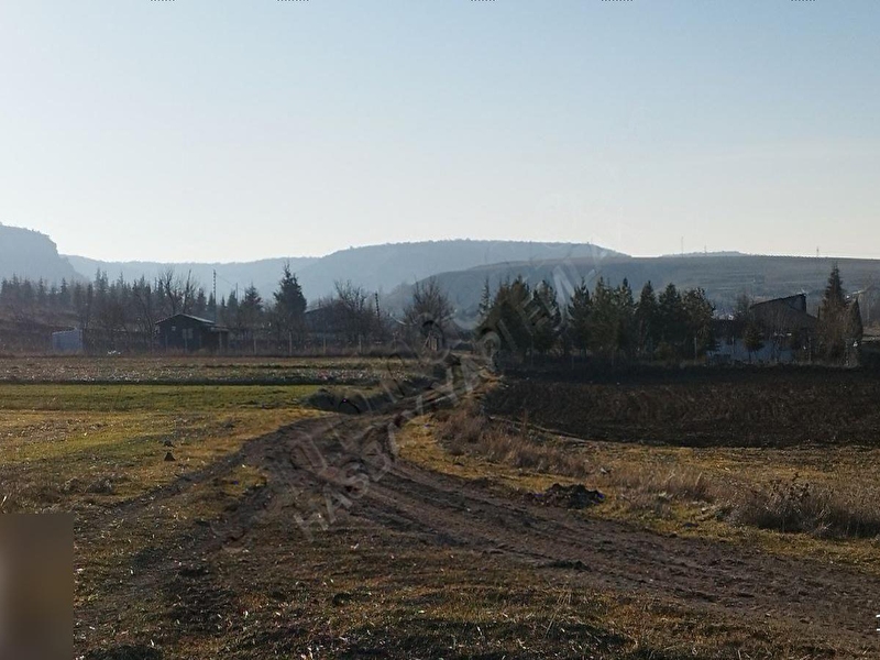 Hasbay'dan yusuflar mahallesi̇nde satilik firsat tarla