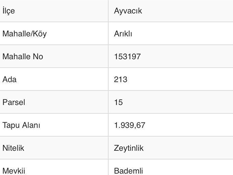 Ayvacik arikli köyünde 1939 metrekare veri̇mli̇ zeyti̇nli̇k
