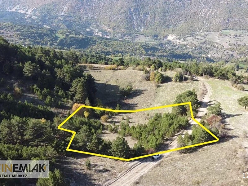 Bolu mudurnu çağşak'da firsat yatirimlik satilik tarla