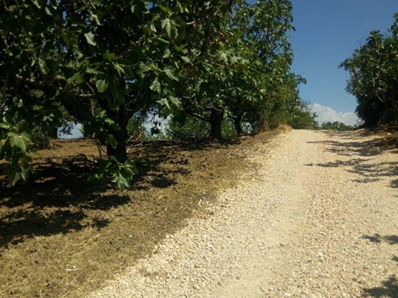 Başhan'dan i̇mara sifir alt yapi yaninda 4 hi̇sseli̇ 5883 m2 tarla