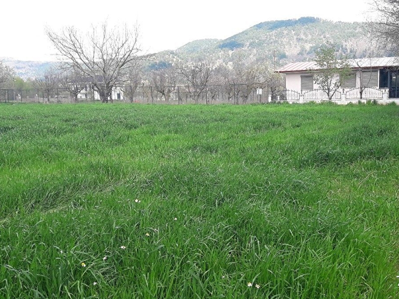 Ödemi̇ş gölcük gedi̇kyüzü mevki̇nde satilik 2750"m2 bahçé