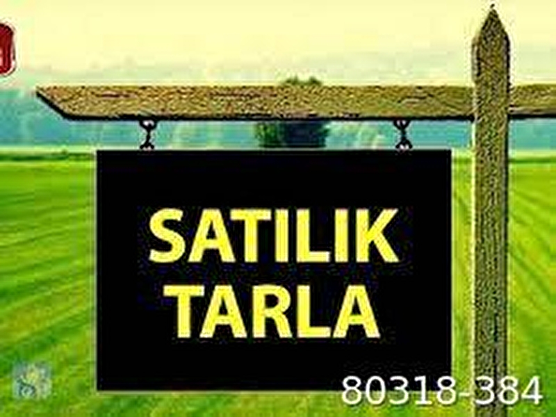 Ankara çubuk taşpinar mahallesi̇nde  satilik tek tapulu tarla