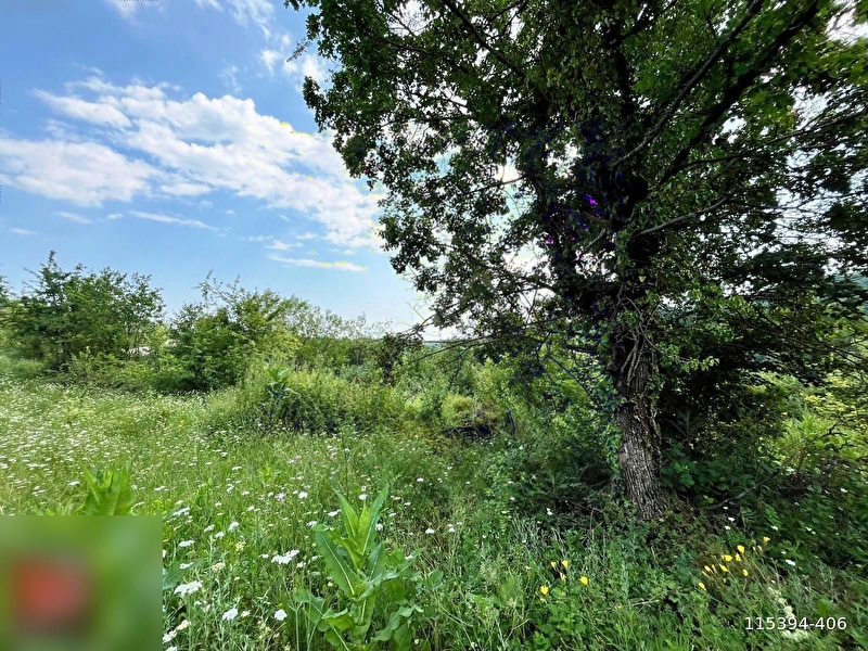 Kestel - orhani̇ye'de 551 m2 doğa manzarali i̇marli arsa