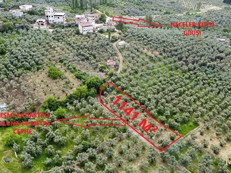 Beka dan heceler köyünde resmî yollu göl manzarali zeyti̇nli̇k