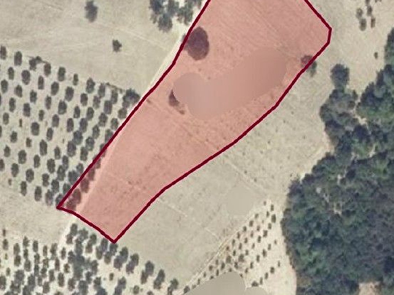 750.000 tl ye kaçirilmaz firsat 4.500 dönüm tarla 13.000 dönümü 2/b arazi̇si̇
