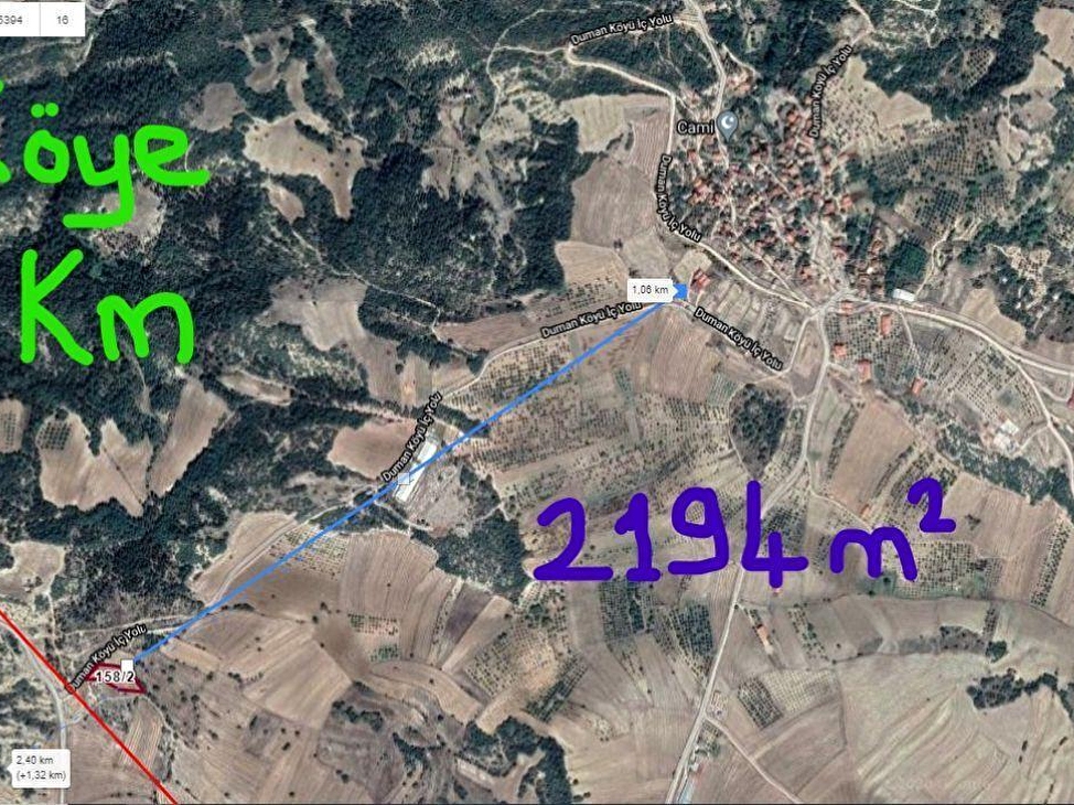 Duman Koyunde 2 194 Metrekare Ceviz Bahcemiz Satiliktir 119470 199 Hurriyet Emlak