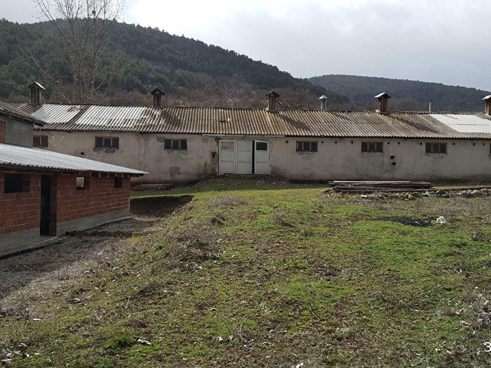 bolu ya 12 km mesafede kiralik ciftlik 36137 872 hurriyet emlak