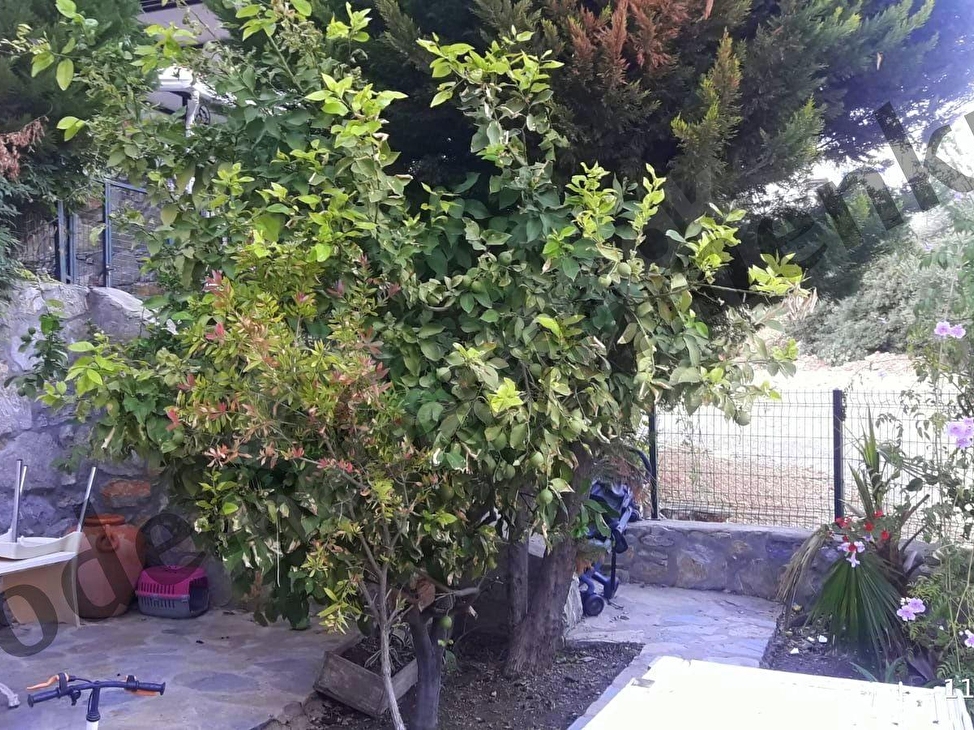 Bodrum Merkez Yokusbasi Mah 4 1 120m2 Tribleks Kiralik Ev 118456 280 Hurriyet Emlak