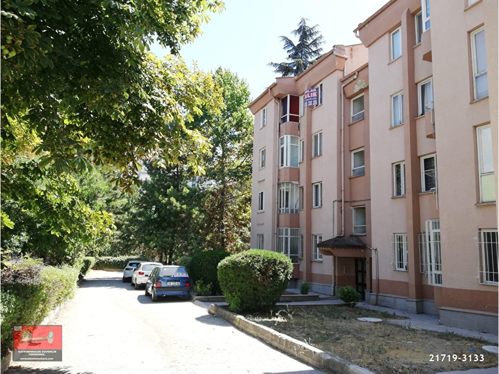 oran 1 sigorta bloklari kiralik 3 1