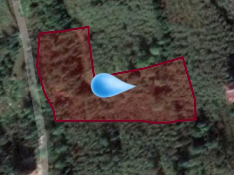 Trabzon Yomra Da Satilik 4687m2 Arazi 30414 3335 Hurriyet Emlak