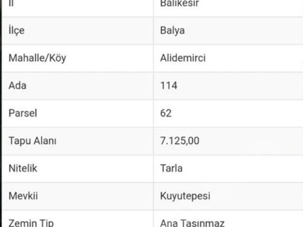 Balikesir Balya Aldemirci Mah 22 000 M2 Satilik Tarla 119006 230 Hurriyet Emlak