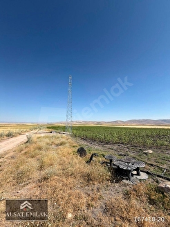 Elbaşı'nda tek tapu 22.500 m² sulu tarla