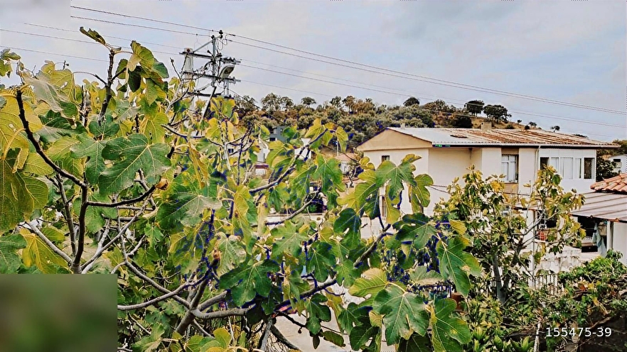 seferihisar ulamışta satılık müstakil ev