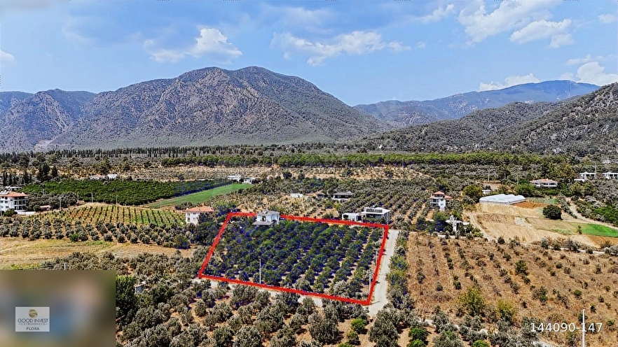 Muğla Köyceğiz Yangı Mahallesinde 6.500 m² Bahçe ve Müstakil Ev