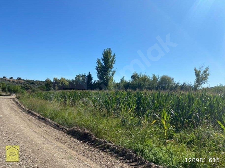 AKSU KARA ZDE YATIRIMLIK 1390 M2 SATILIK TARLA 120981 615 Hepsiemlak aksu-kara-zde-yatirimlik-1390-m2-satilik-tarla-120981-615-hepsiemlak