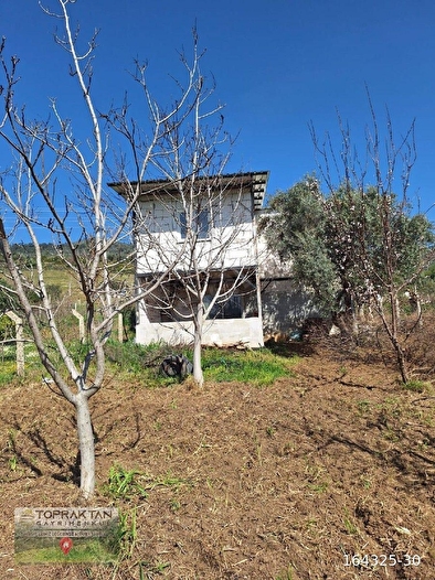 Arsa ve Tarla Bir Arada Numaratajlı