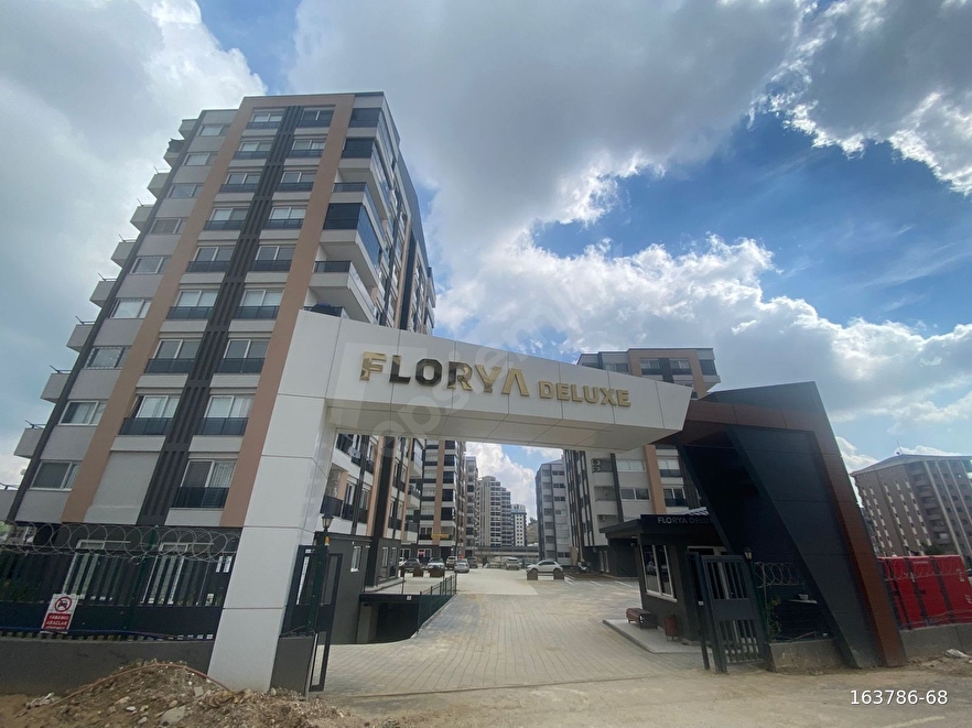 Reymorris Karaaslandan florya delüx 4+1